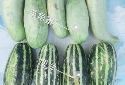 网红吃瓜爆料最新,娱乐圈最新猛料大曝光！